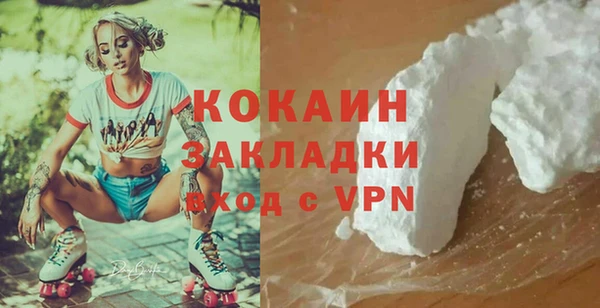 шишки Новозыбков