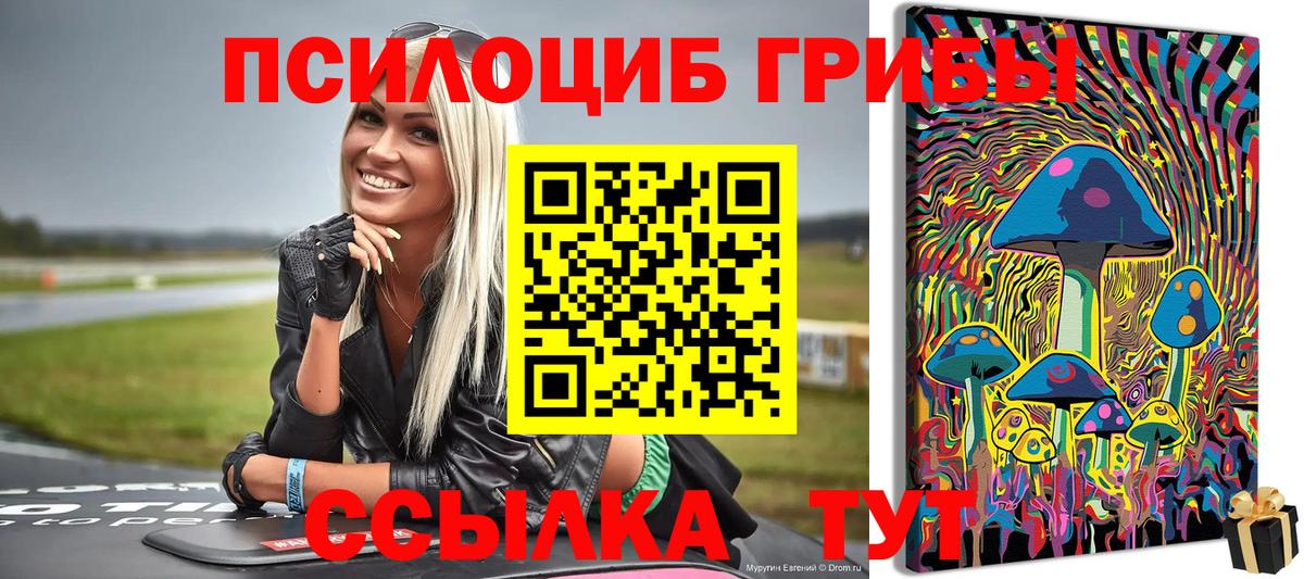 Галлюциногенные грибы мицелий  Вход с VPN  Мичуринск  Галлюциногенные грибы ЛСД 
