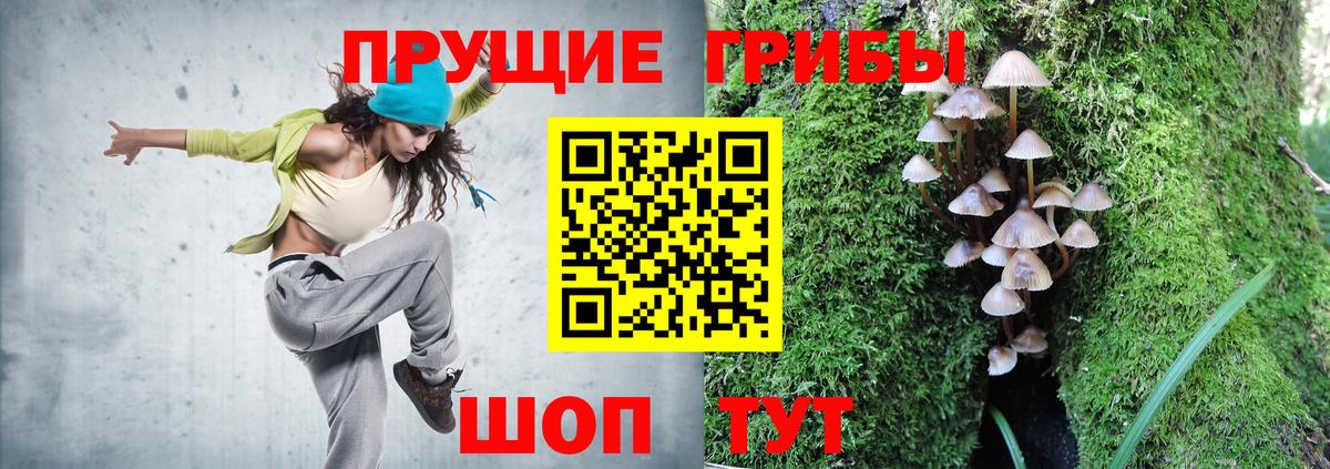 Галлюциногенные грибы мухоморы Мичуринск